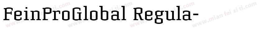 FeinProGlobal Regula字体转换
